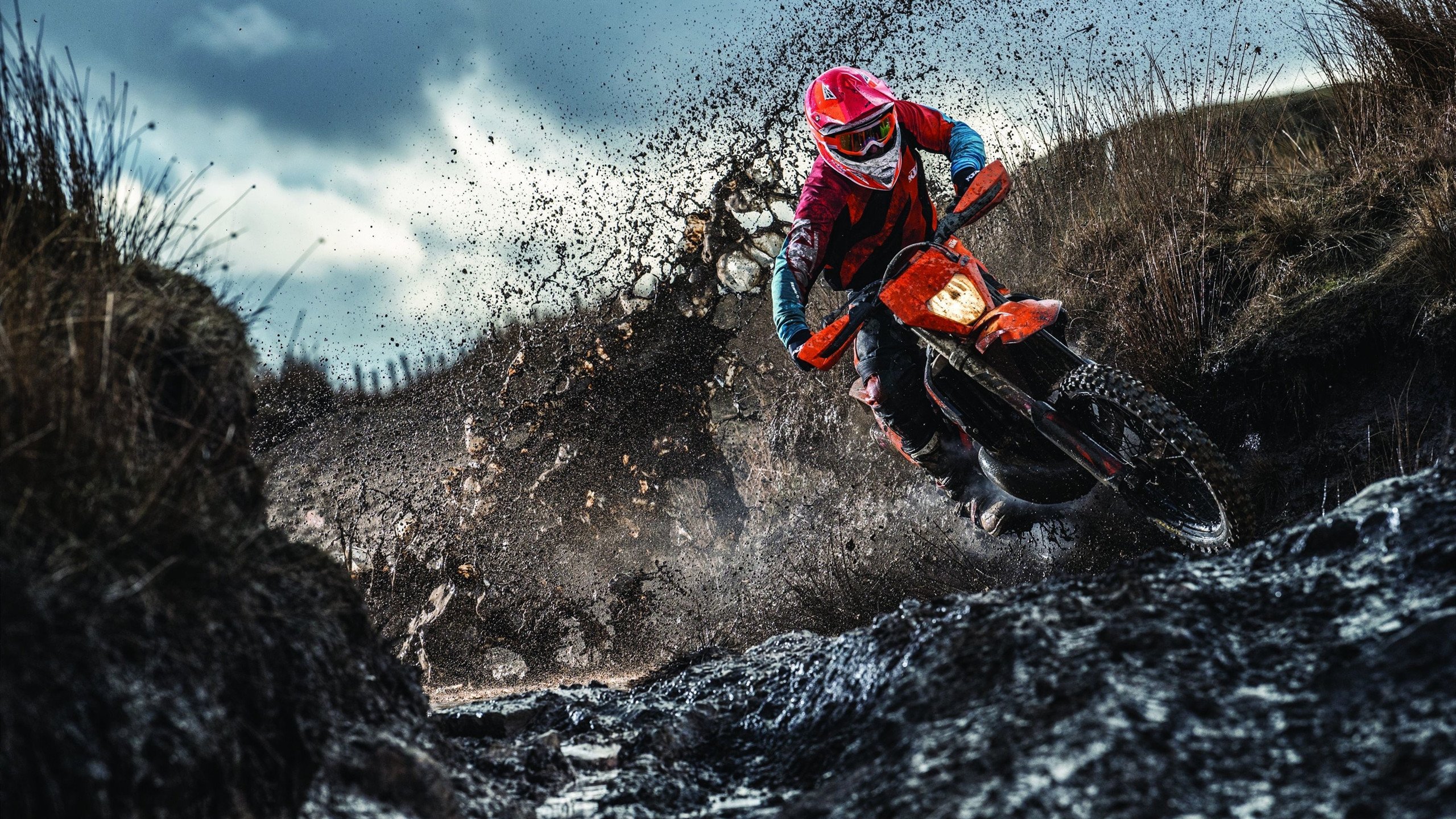 时间的玫瑰，那些在激战中绽放的体育韧性，时光淬炼的赛场玫瑰